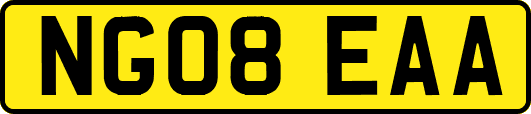 NG08EAA