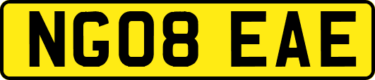 NG08EAE