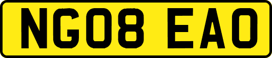 NG08EAO