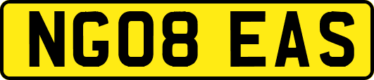 NG08EAS