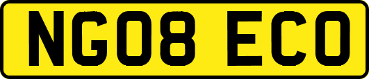 NG08ECO
