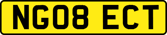 NG08ECT