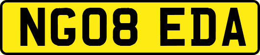 NG08EDA