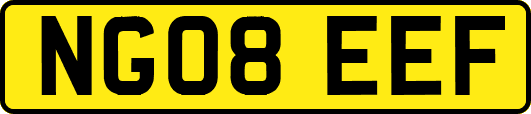 NG08EEF