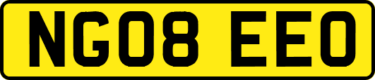 NG08EEO