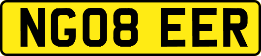 NG08EER