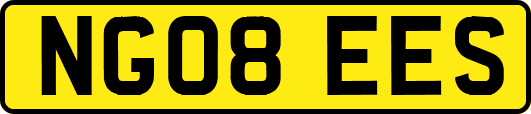 NG08EES