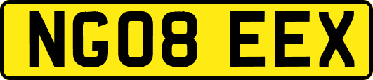NG08EEX