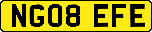 NG08EFE