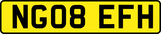 NG08EFH