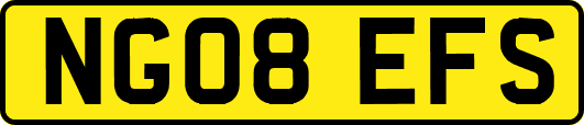 NG08EFS