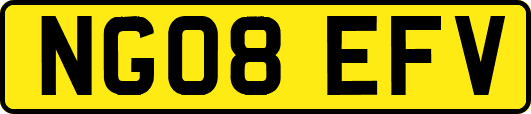 NG08EFV