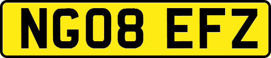 NG08EFZ