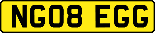 NG08EGG