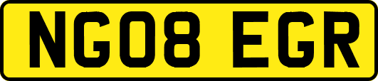 NG08EGR