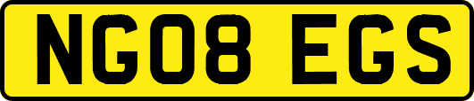 NG08EGS