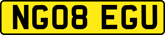 NG08EGU