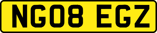 NG08EGZ