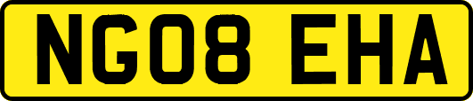 NG08EHA
