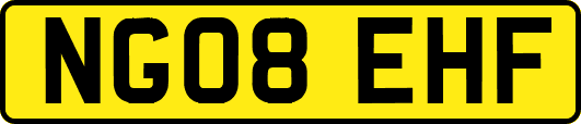NG08EHF