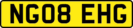 NG08EHG