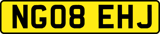 NG08EHJ