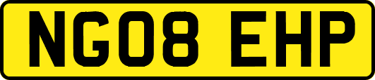 NG08EHP