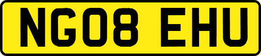 NG08EHU