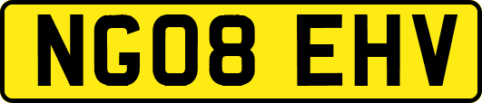 NG08EHV