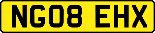 NG08EHX