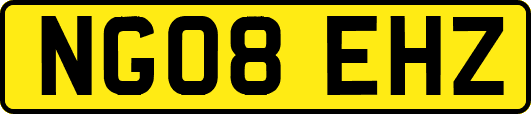 NG08EHZ