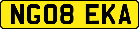 NG08EKA