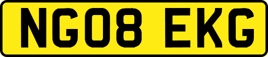 NG08EKG