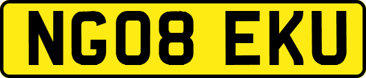 NG08EKU