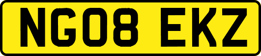 NG08EKZ