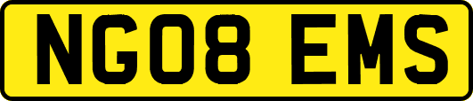 NG08EMS