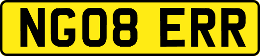 NG08ERR