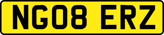 NG08ERZ