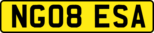 NG08ESA