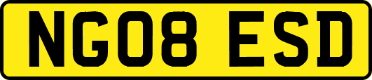 NG08ESD