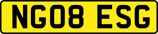 NG08ESG