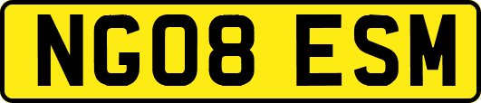 NG08ESM