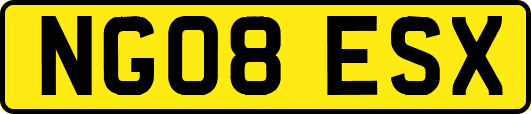 NG08ESX