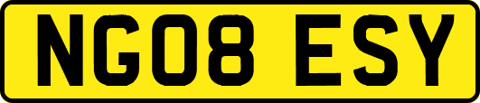 NG08ESY