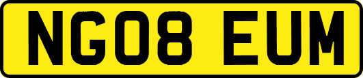 NG08EUM
