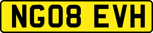 NG08EVH