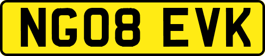 NG08EVK