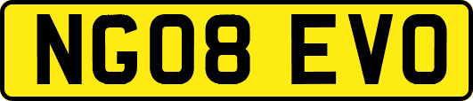 NG08EVO