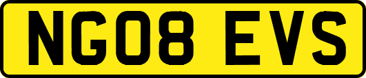 NG08EVS
