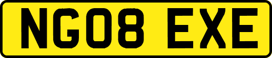 NG08EXE